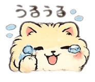 852622648