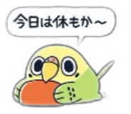 852623370