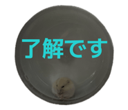 852623581