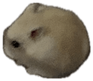 852623582