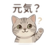 852623925