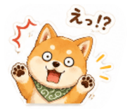 852624551
