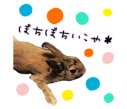 852624932