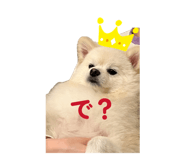 852625578
