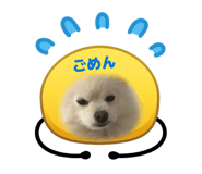 852625579