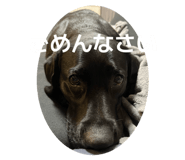 852626198