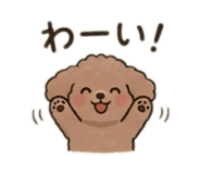 852630673