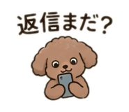 852630676