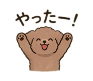852630682