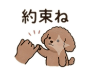 852630696