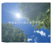 852632204