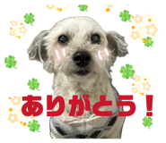 852633146