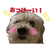 852633156
