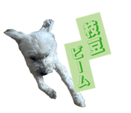 852633169