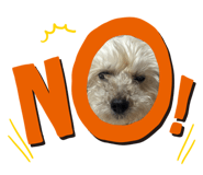852633180