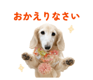 852633550