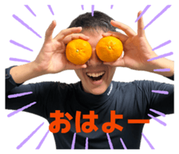 852633589
