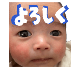 852634301