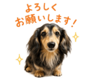 852638139