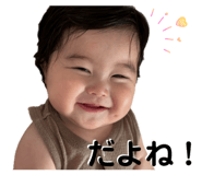 852638186