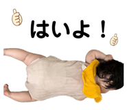 852638187