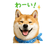852639264