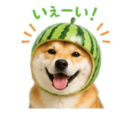 852639280