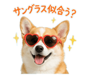 852639287