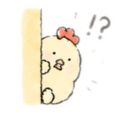 852641137