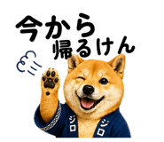 852641405