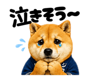 852641414