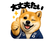 852641419