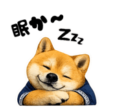 852641423
