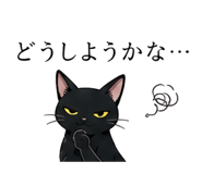 852642504