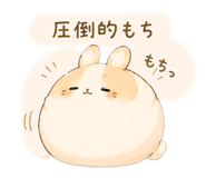 852642850