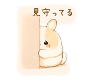 852642863