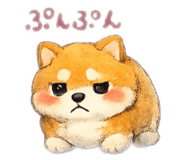 852644887