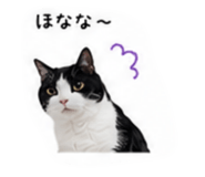 852647542