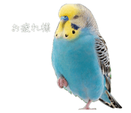 852647827