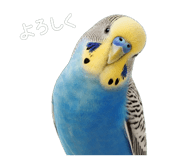 852647828