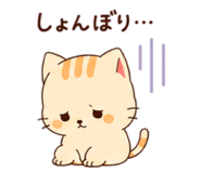 852649314