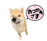 852649650