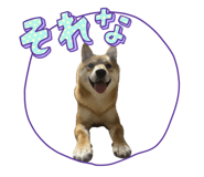 852649651