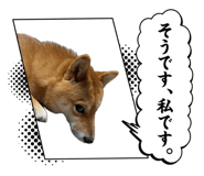 852649656