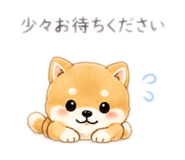 852650310