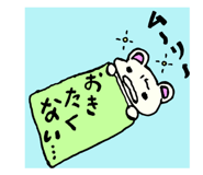 852651558
