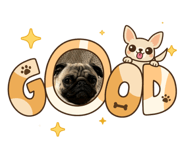 852652487