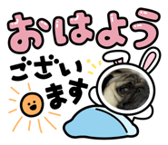 852652496
