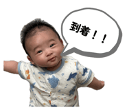 852652654