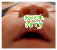 852653446